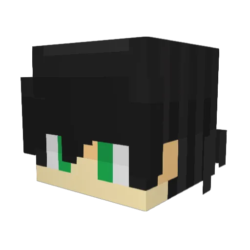 Sadary1 Minecraft avatar head, 3D render