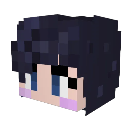 Sadatoni Minecraft avatar head, 3D render