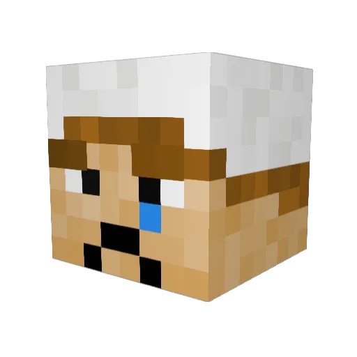 Sadboy146 Minecraft avatar head, 3D render