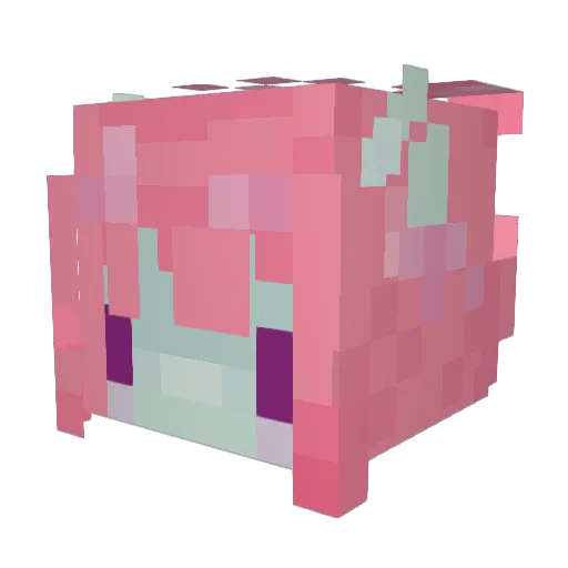 SaddSun Minecraft avatar head, 3D render