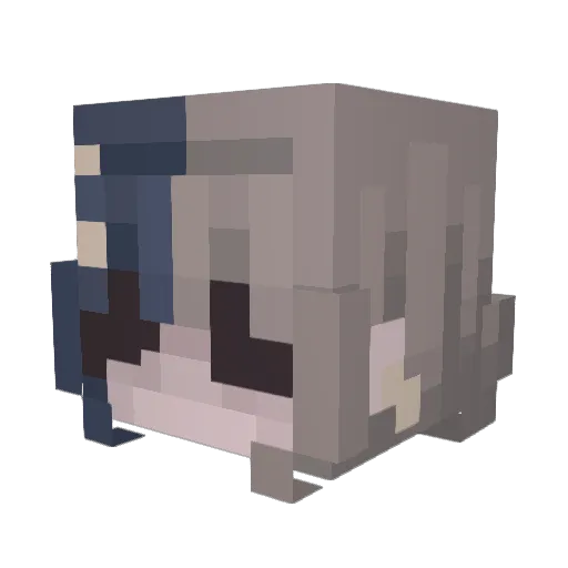 SaddieDays Minecraft avatar head, 3D render