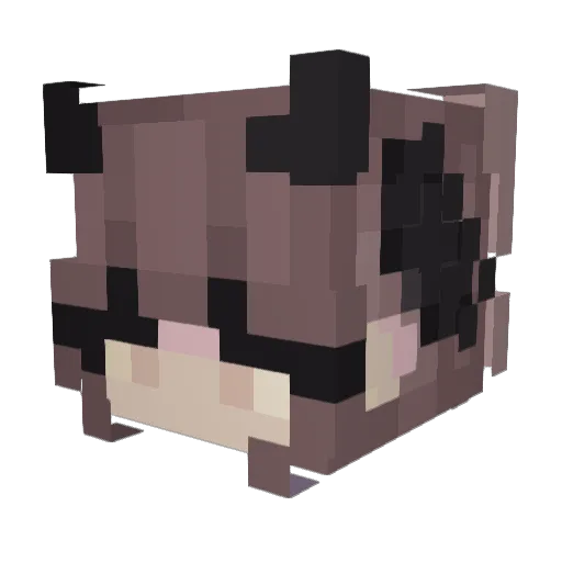 SaddieeMaddiee Minecraft avatar head, 3D render