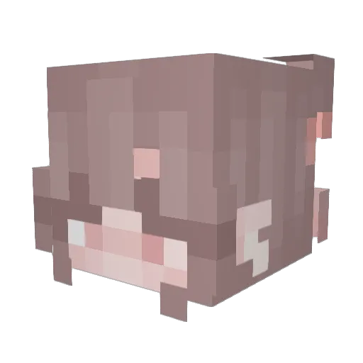 Sadex2772 Minecraft avatar head, 3D render