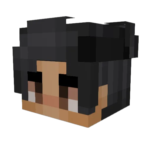 Sadflutes Minecraft avatar head, 3D render