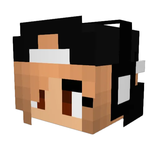 Sadie114 Minecraft avatar head, 3D render