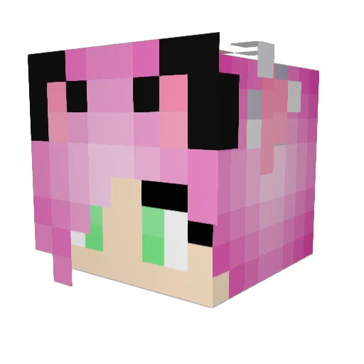 SadiePup Minecraft avatar head, 3D render