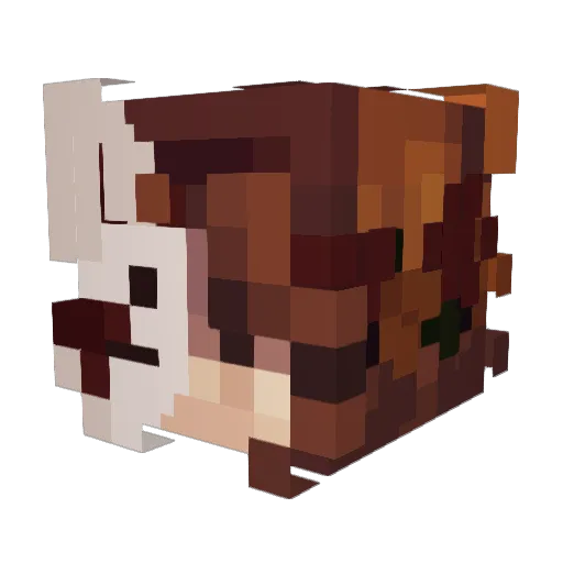 Sadie_AD Minecraft avatar head, 3D render
