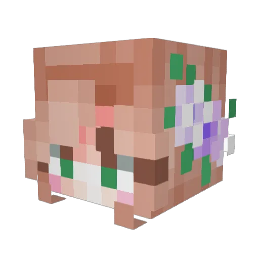 Sadielovely Minecraft avatar head, 3D render