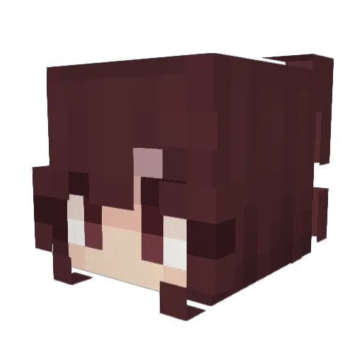 Sadisnown Minecraft avatar head, 3D render