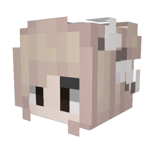 Sadix_6 Minecraft avatar head, 3D render