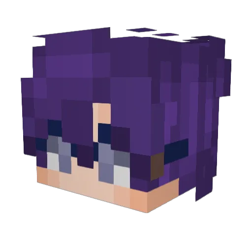 SadlyBorger Minecraft avatar head, 3D render