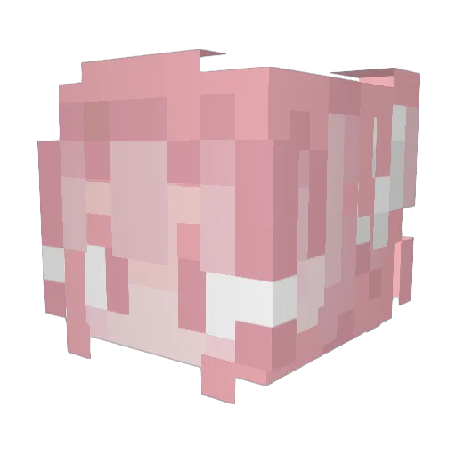 Sadman791 Minecraft avatar head, 3D render