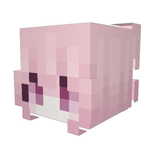 SadnessKid Minecraft avatar head, 3D render