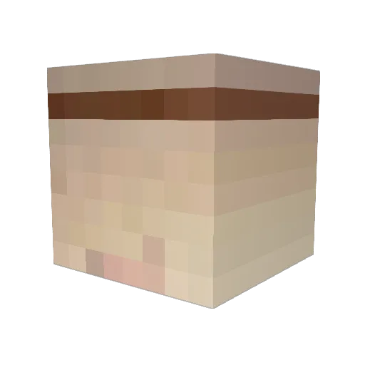 Sadnifer Minecraft avatar head, 3D render