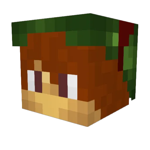 Sadocc Minecraft avatar head, 3D render