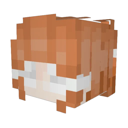 Sadokhiel Minecraft avatar head, 3D render