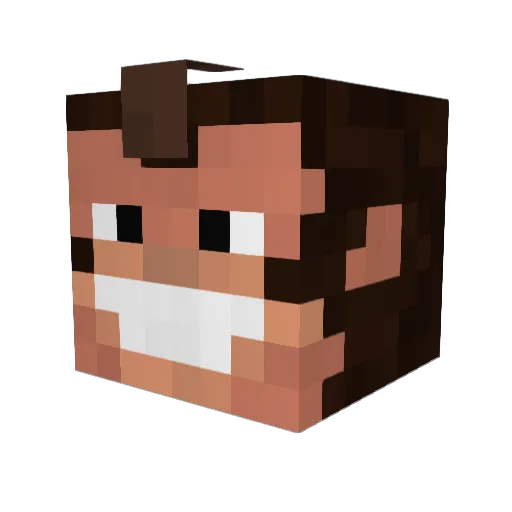 Sadship Minecraft avatar head, 3D render