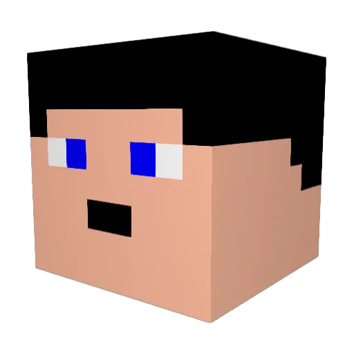 Sadtime05 Minecraft avatar head, 3D render