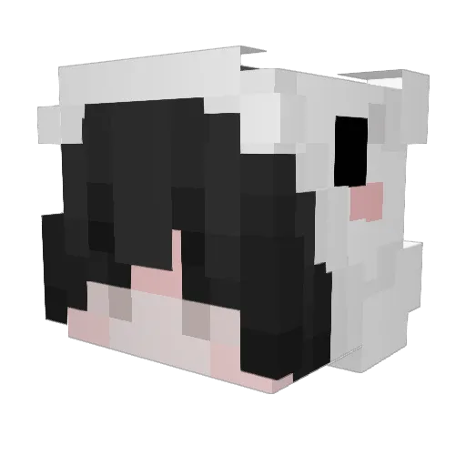 Saecreor Minecraft avatar head, 3D render
