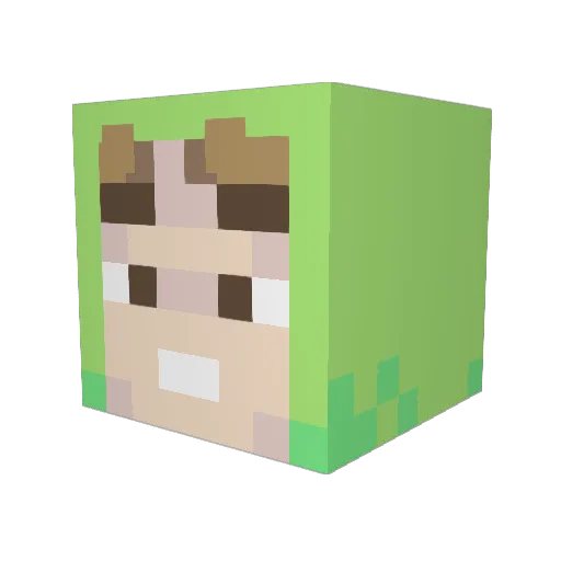 Saeeko Minecraft avatar head, 3D render