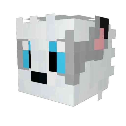 SaegeDX Minecraft avatar head, 3D render