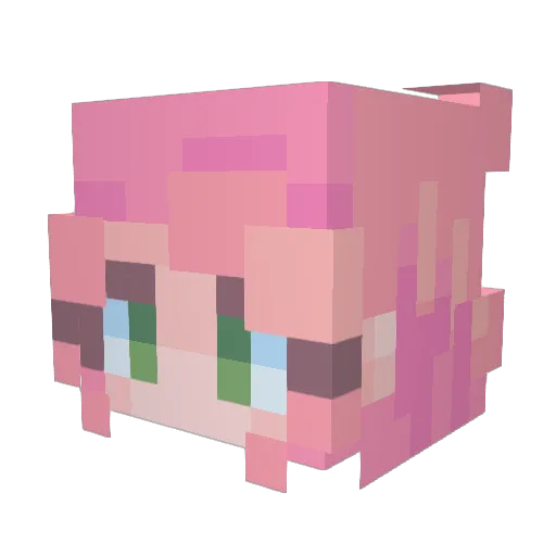 Saelesse Minecraft avatar head, 3D render
