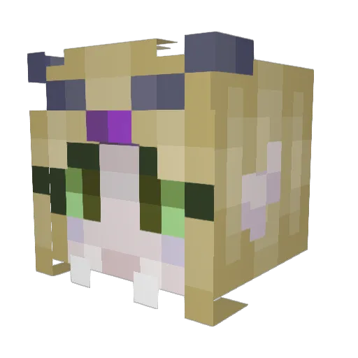 Saelhir Minecraft avatar head, 3D render