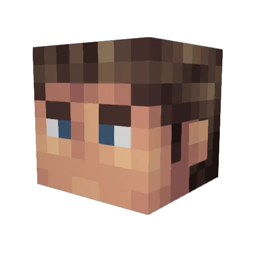Saeter02 Minecraft avatar head, 3D render