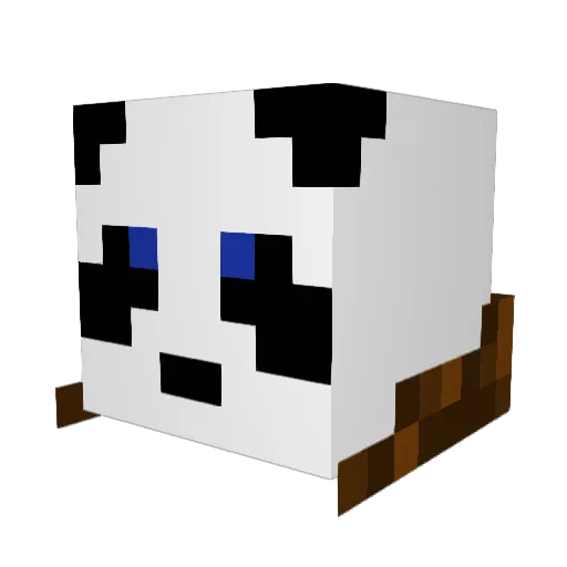 Saetoken Minecraft avatar head, 3D render