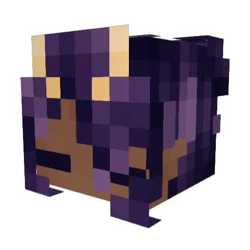 Saetr0Playz Minecraft avatar head, 3D render