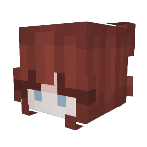 Safari0406 Minecraft avatar head, 3D render