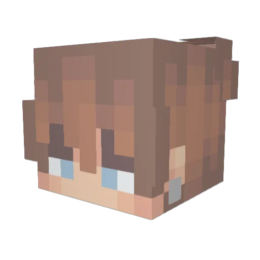 Safari0z Minecraft avatar head, 3D render