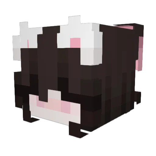 SafeClass Minecraft avatar head, 3D render