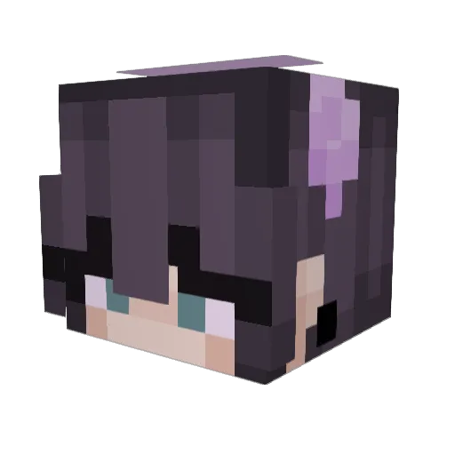 SafeDrip Minecraft avatar head, 3D render