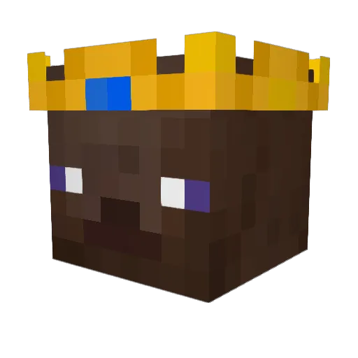 SafeMedicine Minecraft avatar head, 3D render