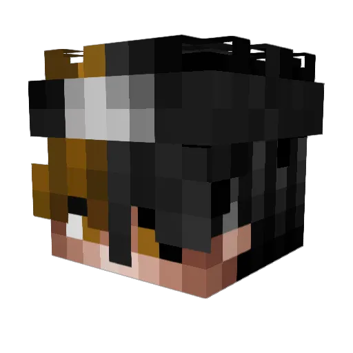 SafeNation Minecraft avatar head, 3D render