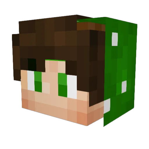 SafeSix5 Minecraft avatar head, 3D render