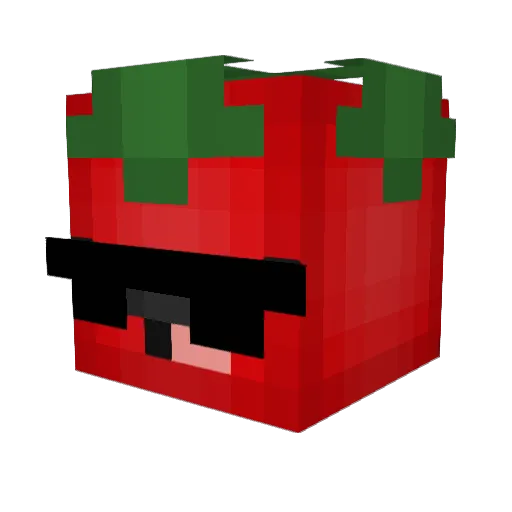 SafeTomato Minecraft avatar head, 3D render