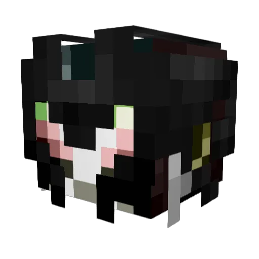 Safer_Stane Minecraft avatar head, 3D render
