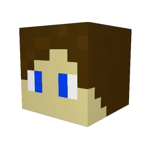 Safetran_Systems Minecraft avatar head, 3D render