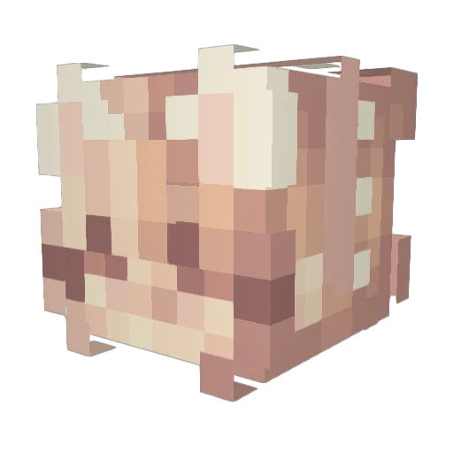 Saffiihao Minecraft avatar head, 3D render