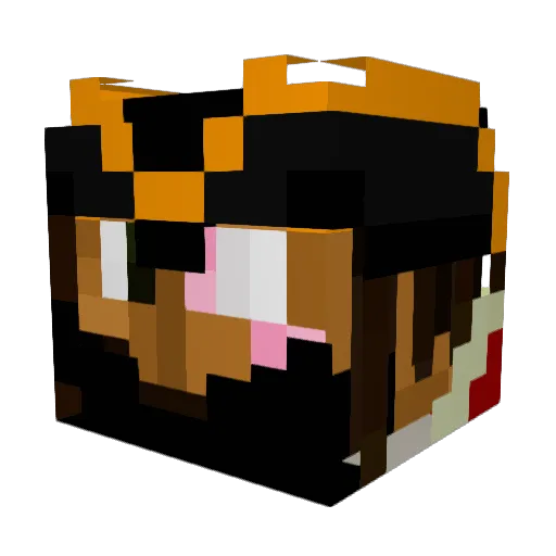 Saffxrd Minecraft avatar head, 3D render