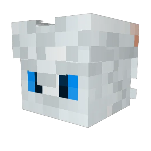 Safi_Drake Minecraft avatar head, 3D render