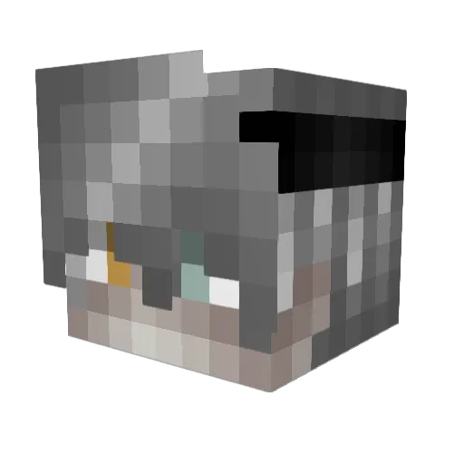 Safkan Minecraft avatar head, 3D render