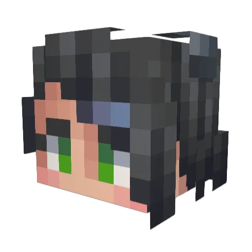Safkrys Minecraft avatar head, 3D render