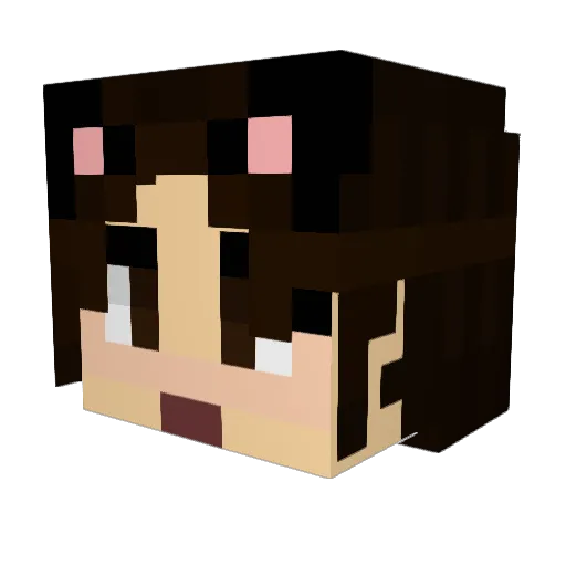 Safokai Minecraft avatar head, 3D render