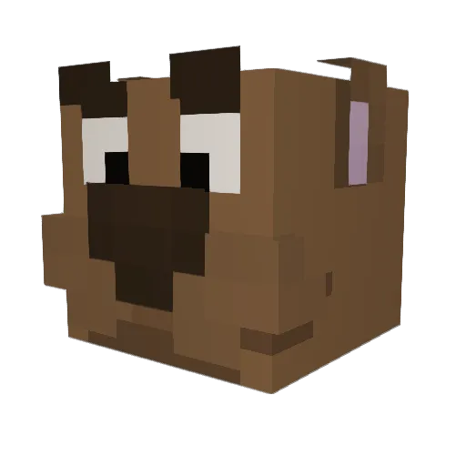 SafranJ Minecraft avatar head, 3D render