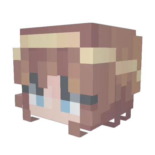 Safroshi Minecraft avatar head, 3D render