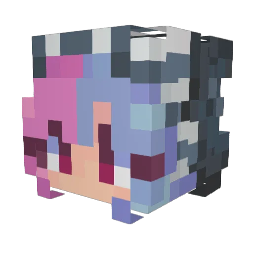 Safrubee Minecraft avatar head, 3D render