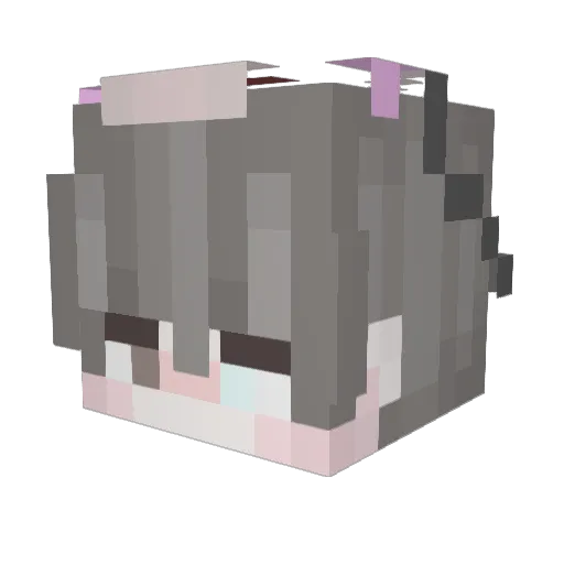 Safti_ Minecraft avatar head, 3D render